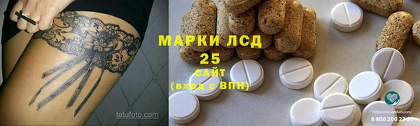 прущие грибы Новозыбков