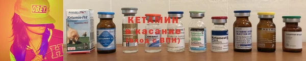 прущие грибы Новозыбков