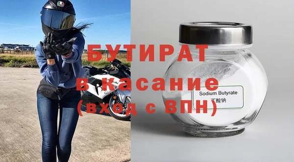 прущие грибы Новозыбков