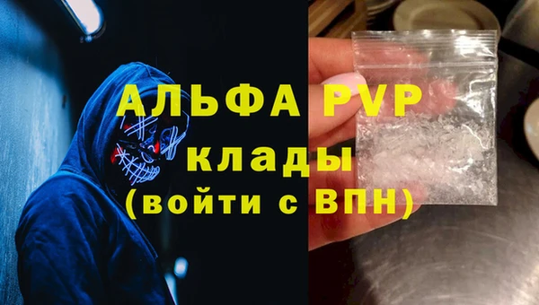 прущие грибы Новозыбков