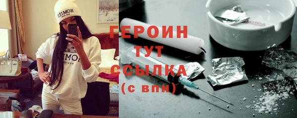 прущие грибы Новозыбков