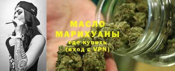 прущие грибы Новозыбков